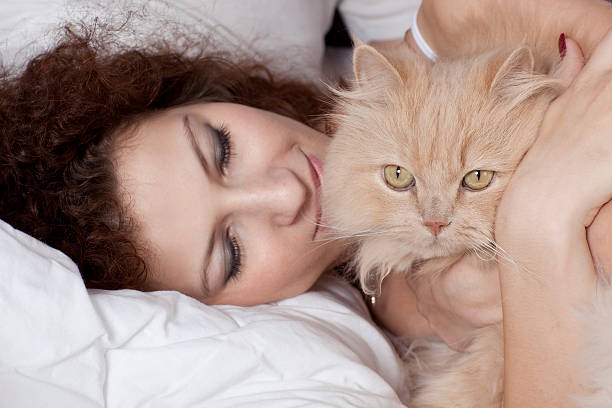 Beautiful Persian Kittens for Adoption