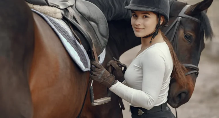 Arabian Horses for Sale Perfect for Ridi...